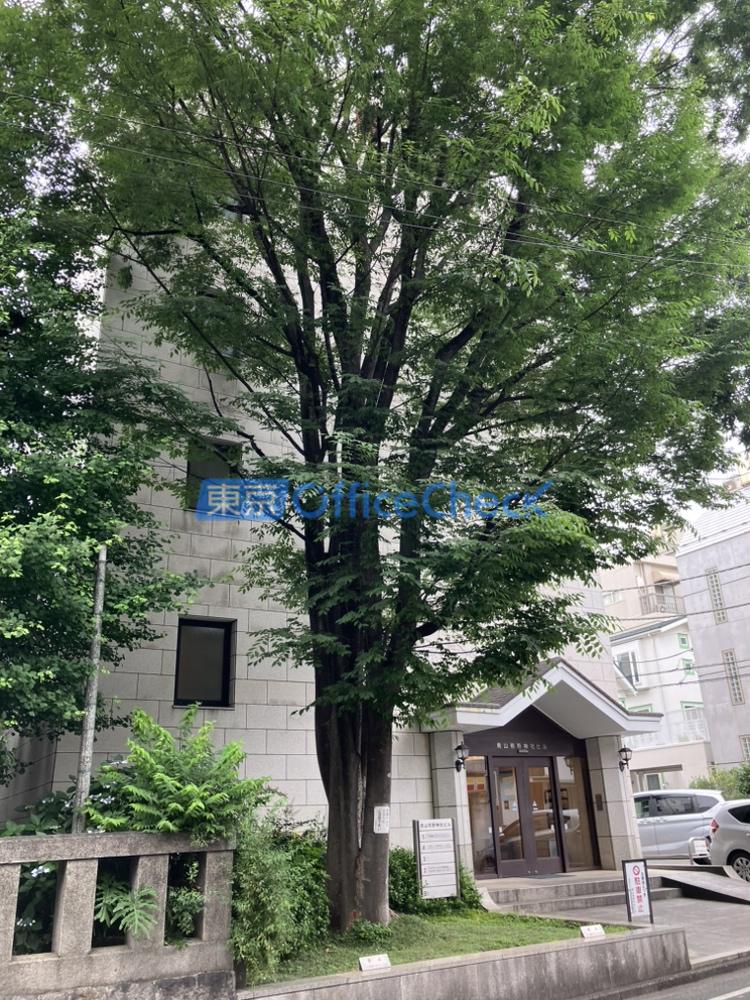 青山熊野神社ビル