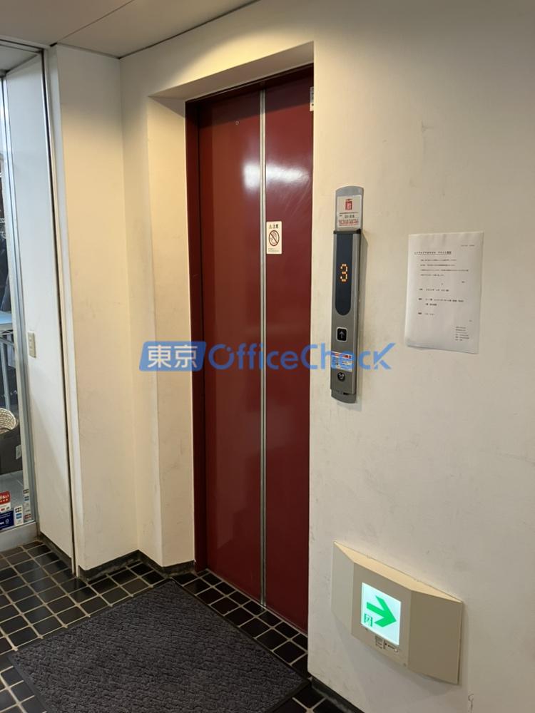 エメラルドアオキビル